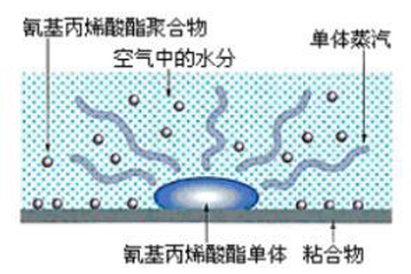白化現象示意圖